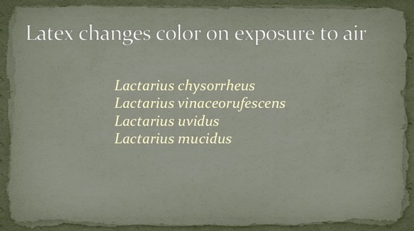 Slide37