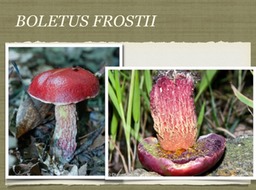 Slide38