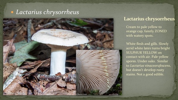 Slide38
