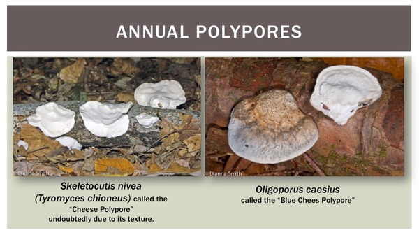 Slide38