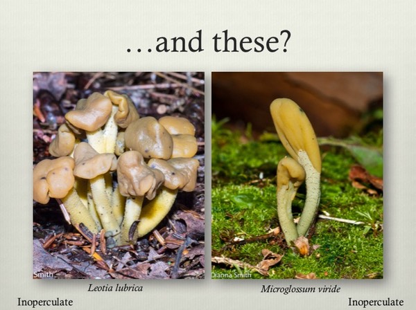 Slide39