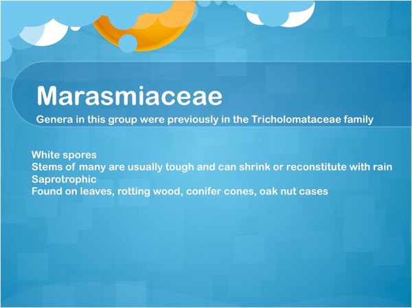Slide39