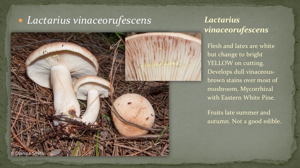 Slide39