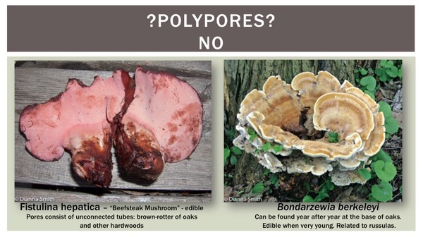 Slide39