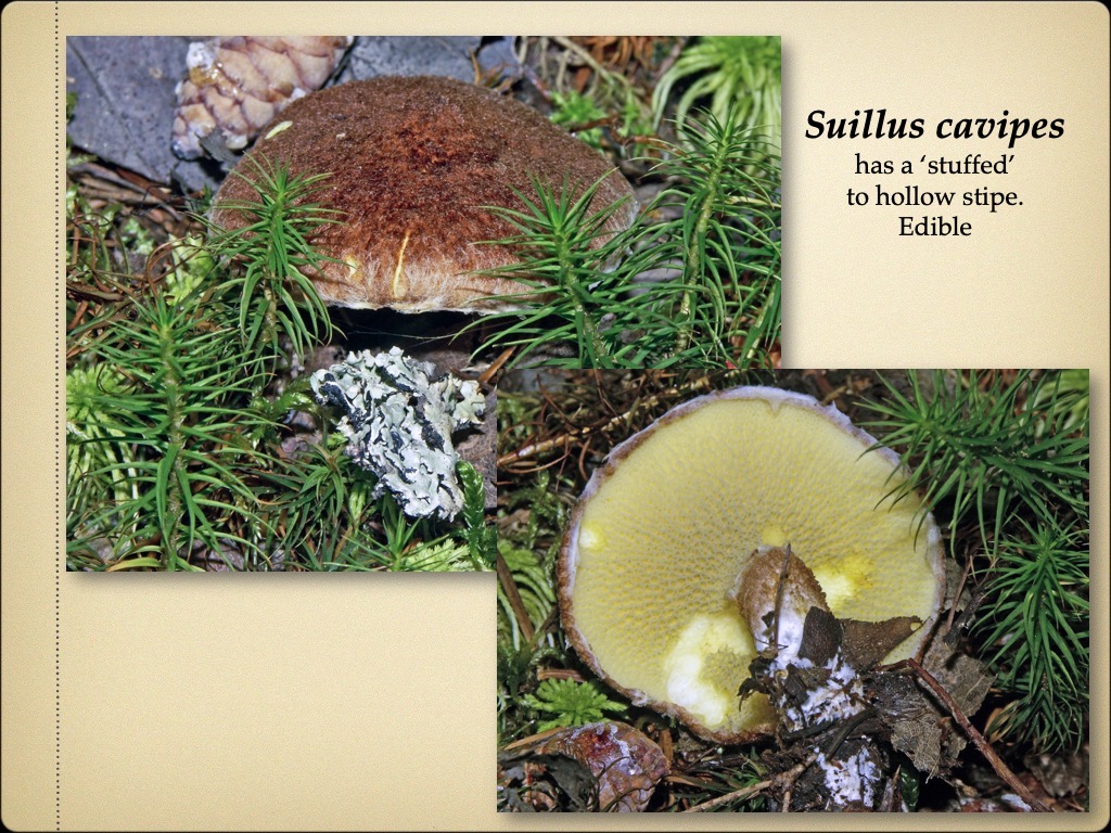 Slide40