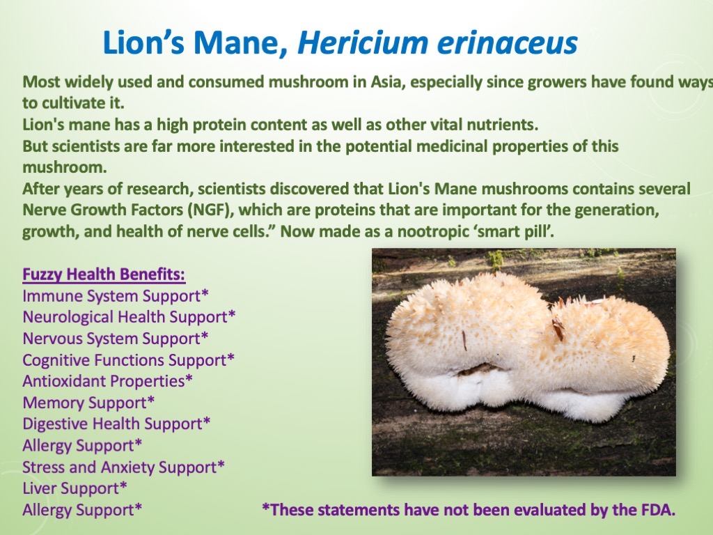 Slide40