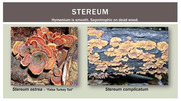 Slide40