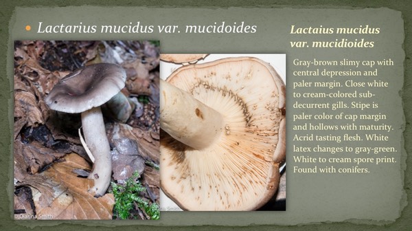 Slide41