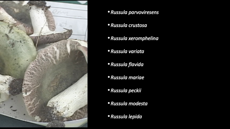 Slide41