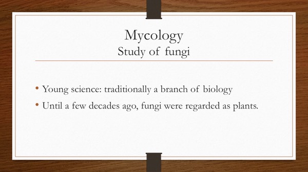 Slide42