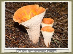 Slide42