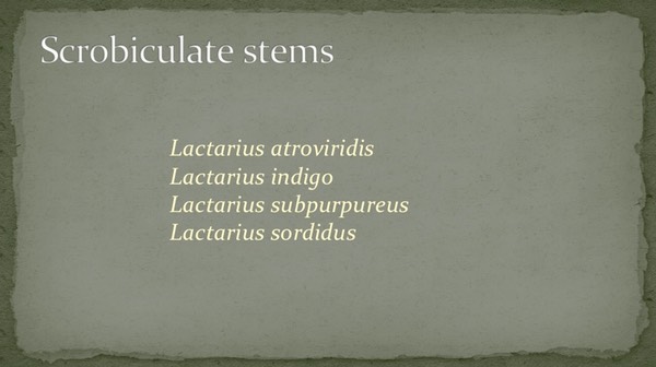Slide43