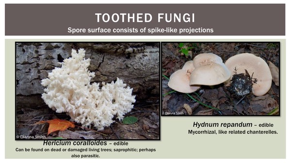 Slide43