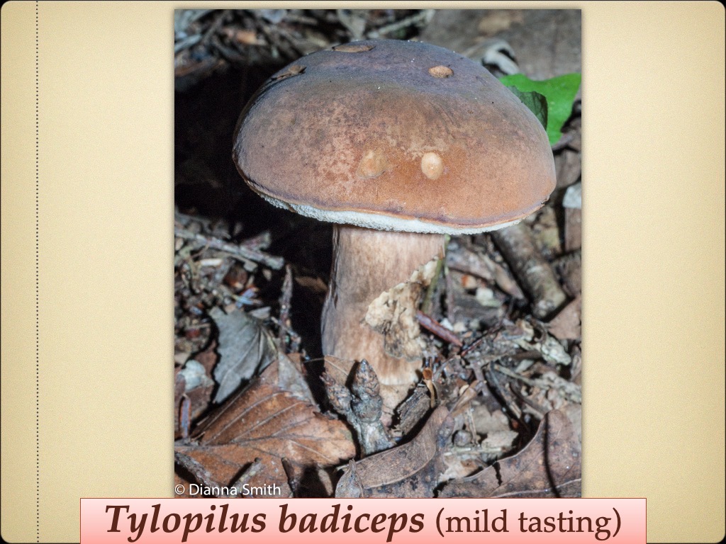 Slide44