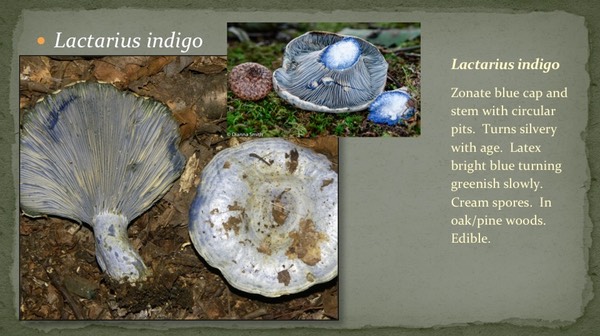 Slide44