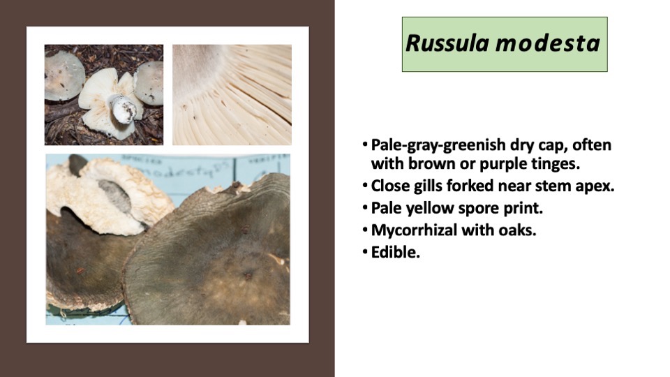 Slide44