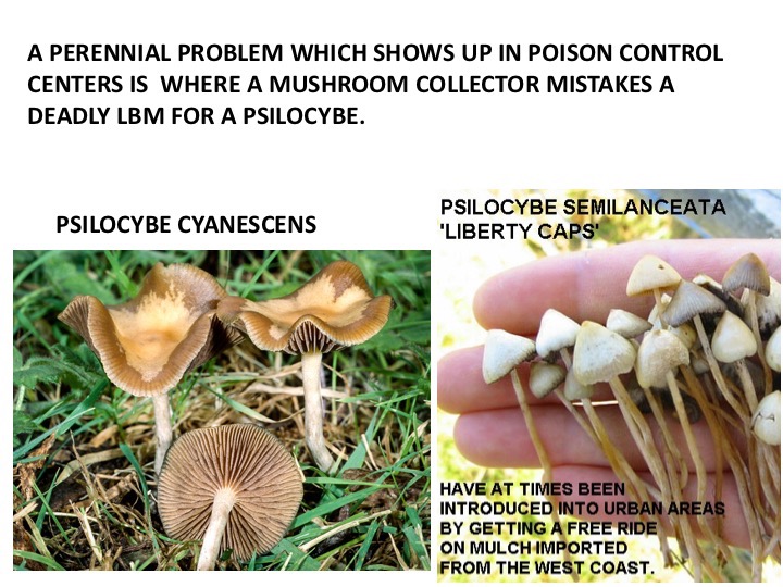 Slide44