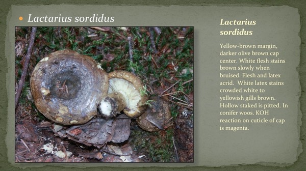 Slide46
