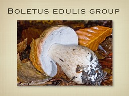 Slide47