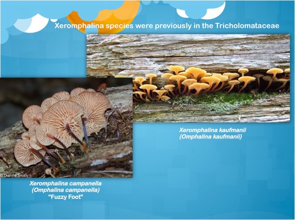 Slide47