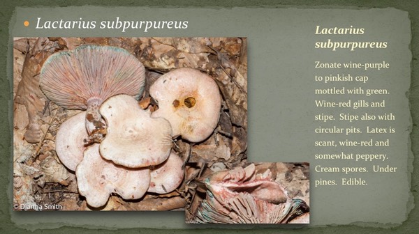 Slide47