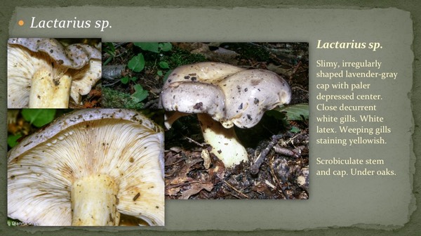 Slide48