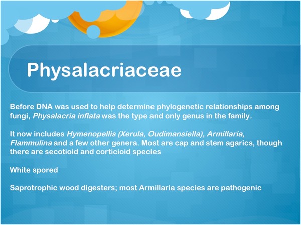 Slide49