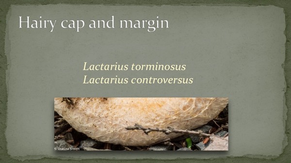Slide49