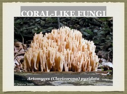 Slide49