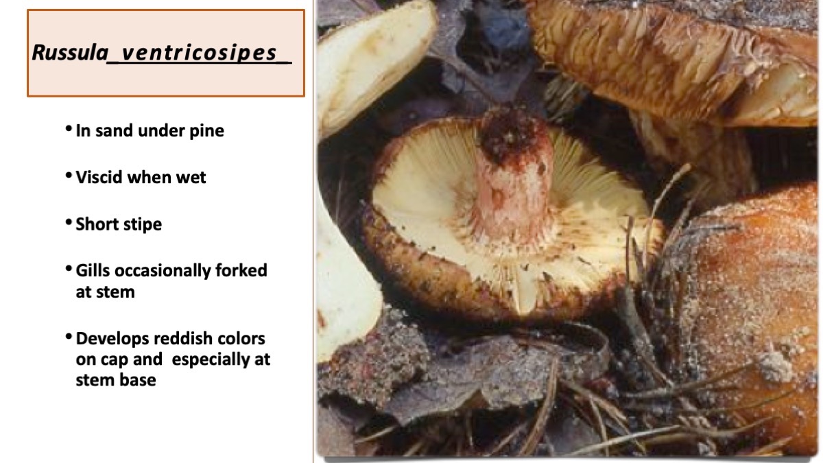 Slide49