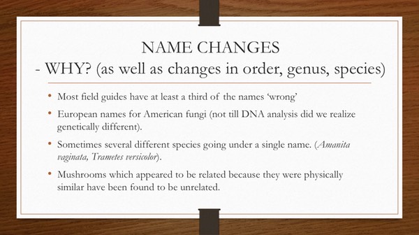 Slide50