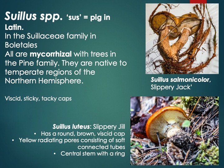 Slide56