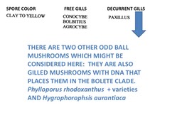 Slide57