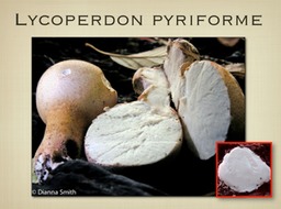 Slide58