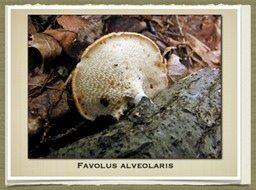 Slide58