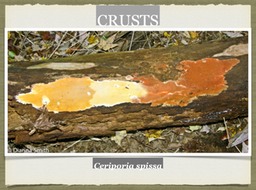 Slide64