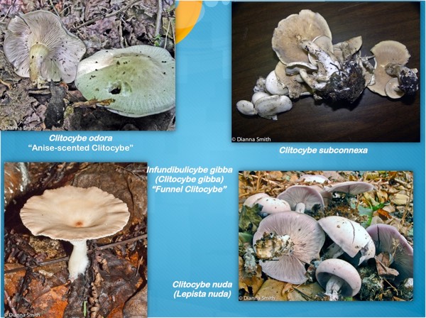 Slide66