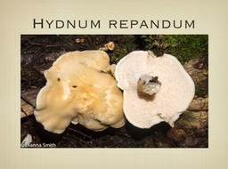 Slide67