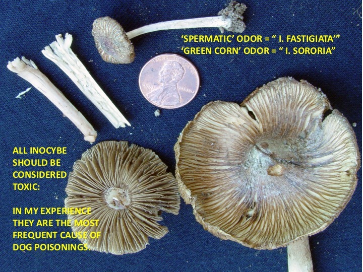 Slide70
