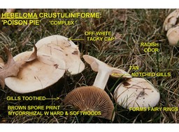 Slide71