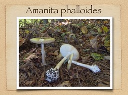 Slide72