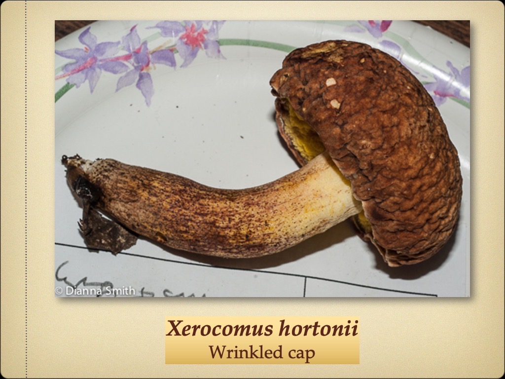 Slide72
