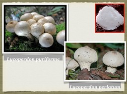 Slide73