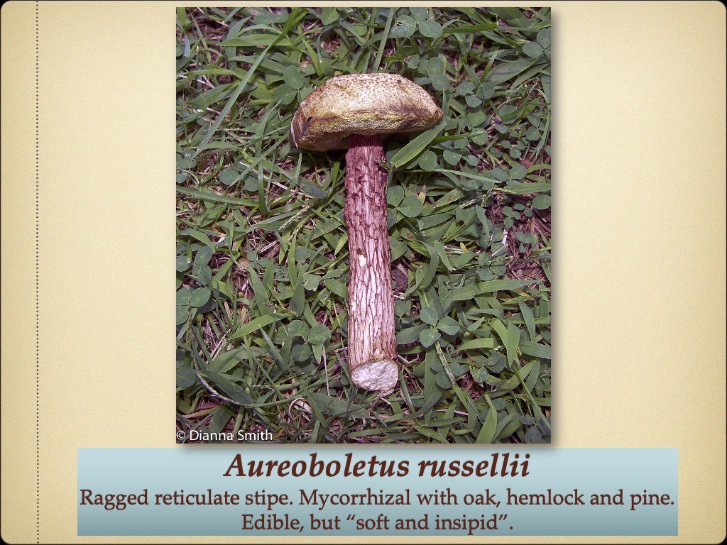 Slide81