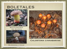 Slide83