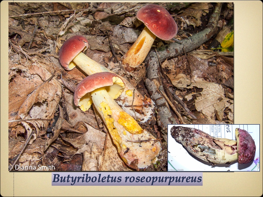 Slide88